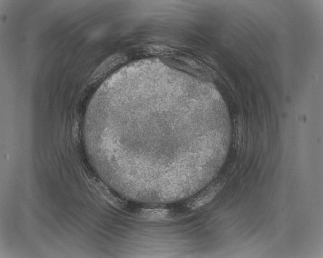 X0000081630266200702121712