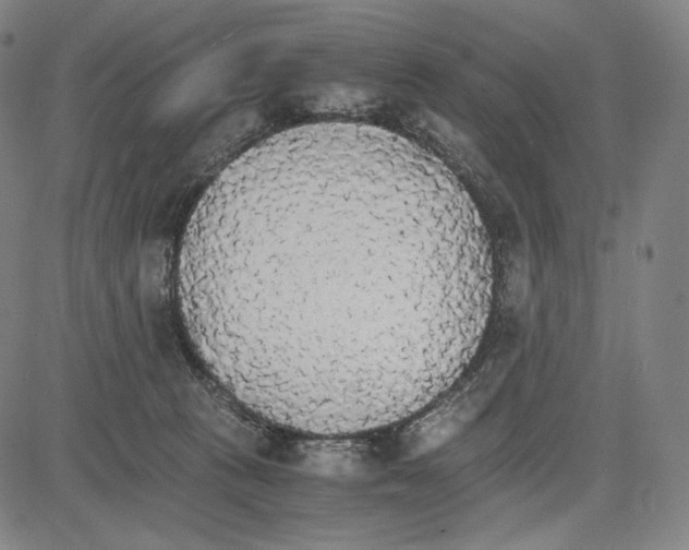 X0000081630273200702121712