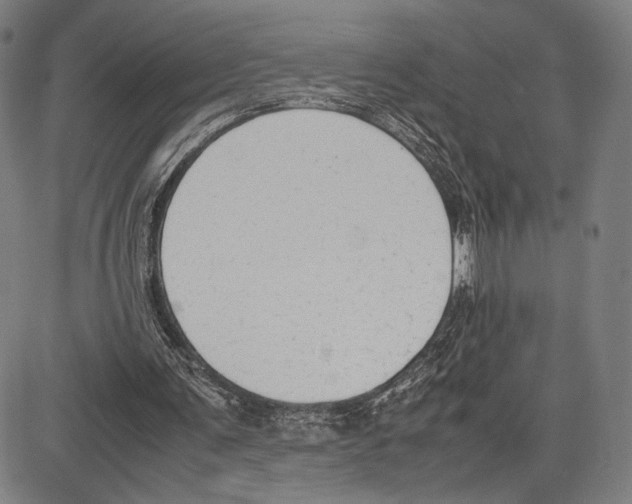 X0000081630291200702121712