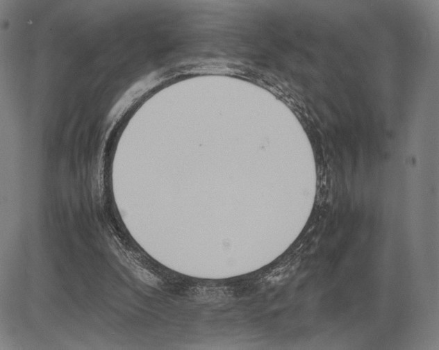 X0000081630296200702121712