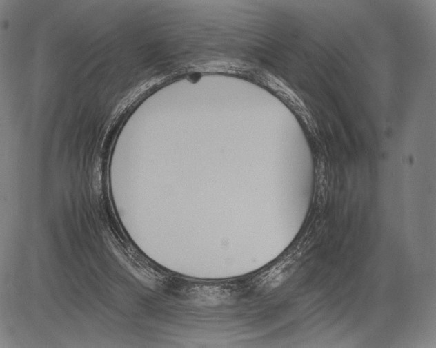 X0000081630298200702121712