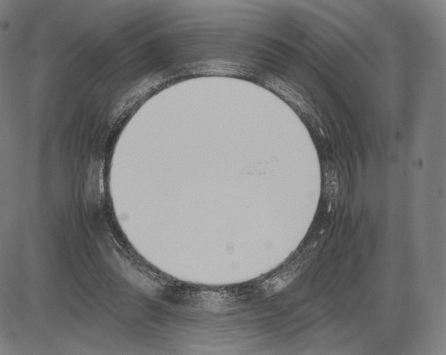 X0000081630302200702121711