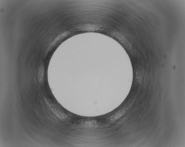 X0000081630304200702121711