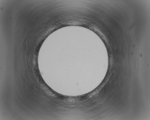 X0000081630305200702121711