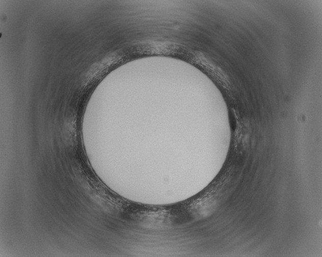 X0000081630306200702121711