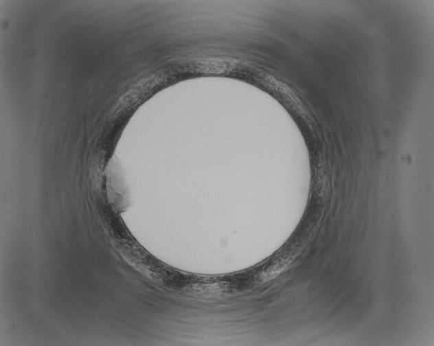 X0000081630307200702121711