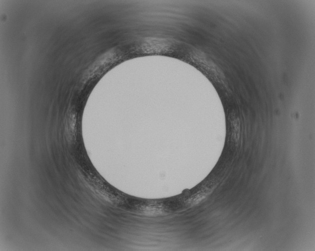 X0000081630308200702121711