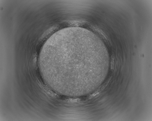 X0000081630314200702121711