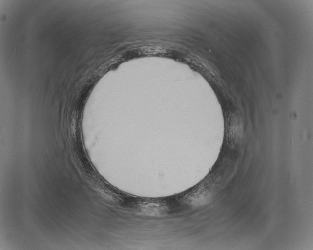 X0000081630315200702121711