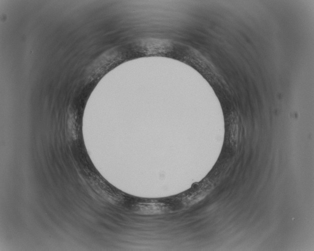 X0000081630316200702121711