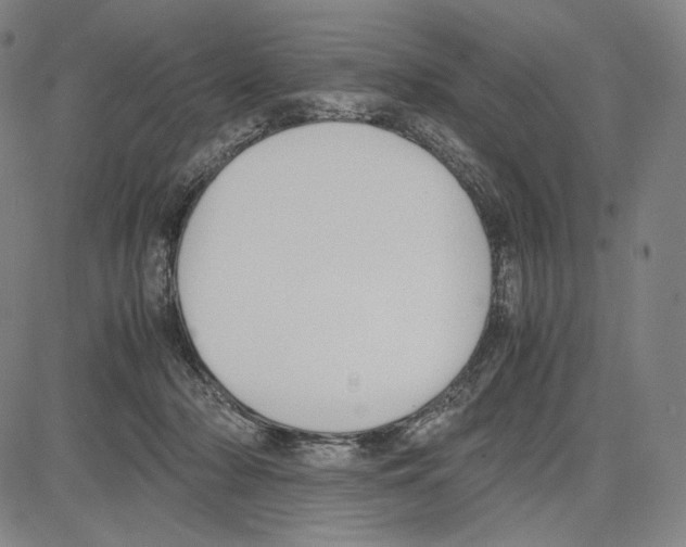 X0000081630318200702121711