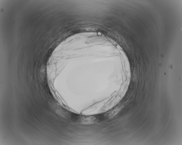 X0000081630321200702121711