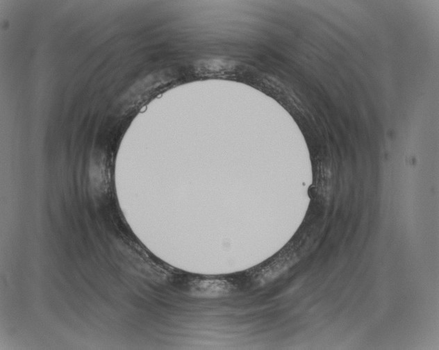 X0000081630324200702121711