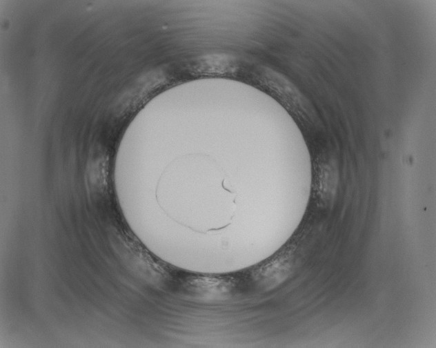 X0000081630326200702121711