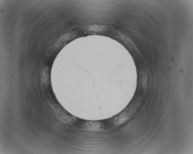 X0000081630328200702121711