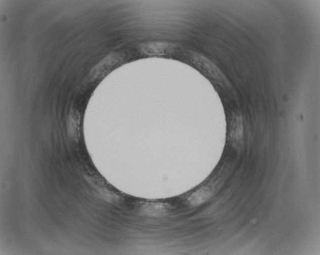 X0000081630332200702121711