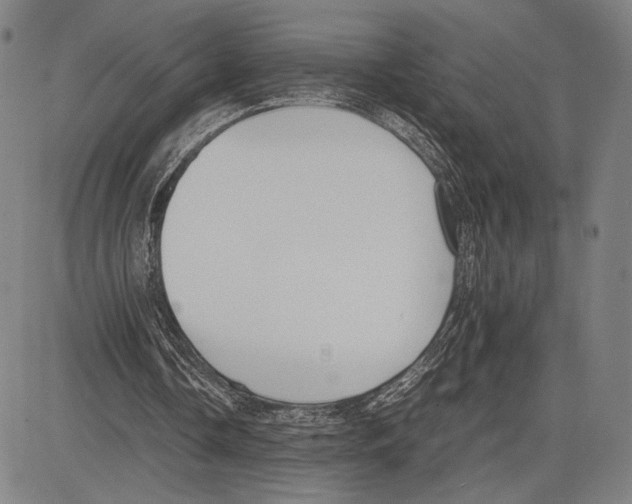 X0000081630338200702121710