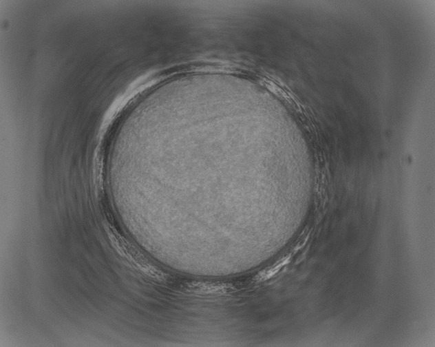 X0000081630343200702121710