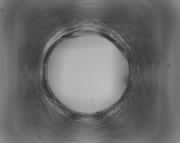 X0000081630344200702121710