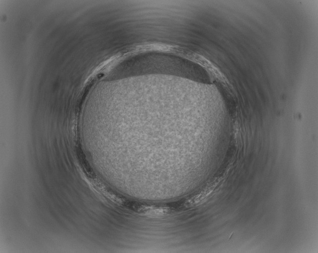 X0000081630352200702121710