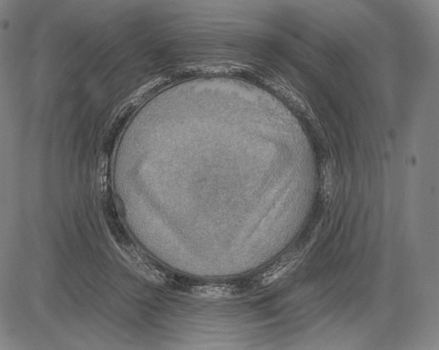 X0000081630356200702121710