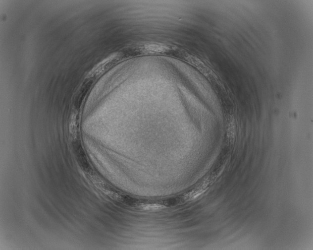 X0000081630360200702121711
