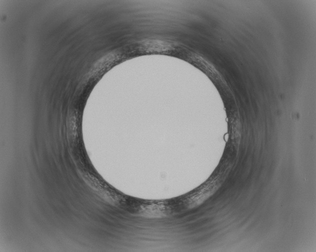 X0000081630362200702121711