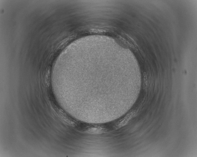 X0000081630364200702121711