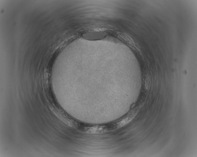 X0000081630366200702121711