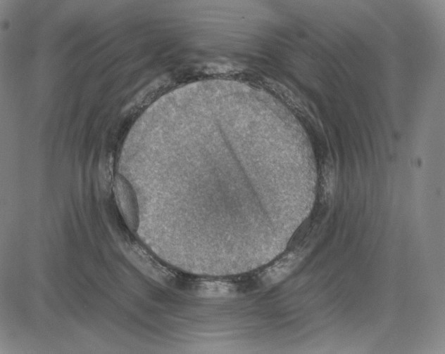 X0000081630376200702121711