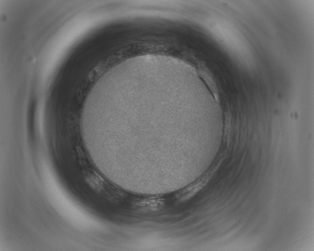 X0000081630383200702121711