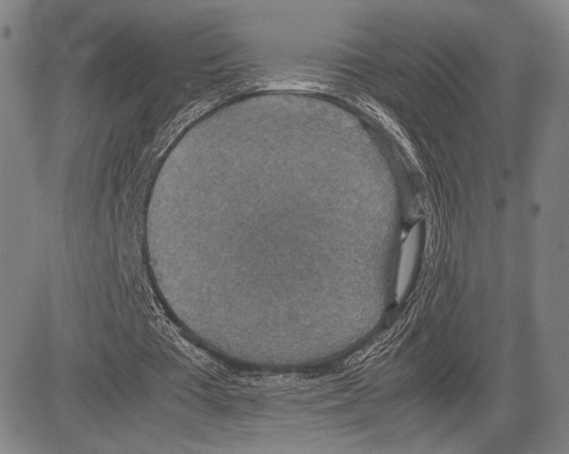 X0000081630385200702121710