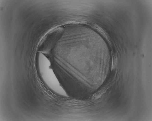X0000081630387200702121710