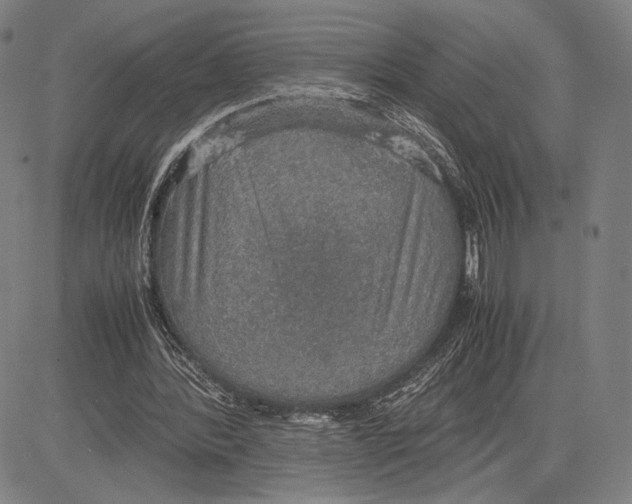 X0000081630388200702121710