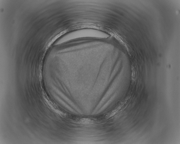 X0000081630390200702121710