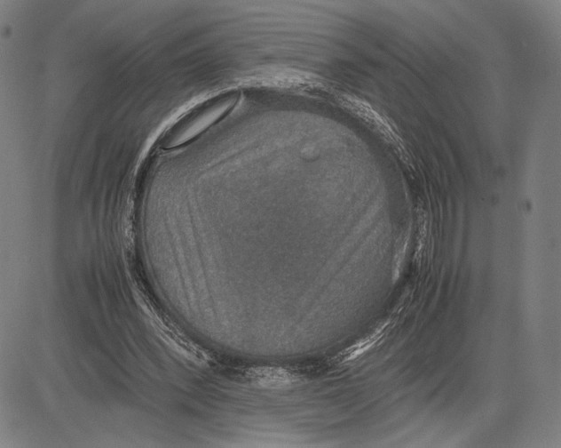 X0000081630392200702121710