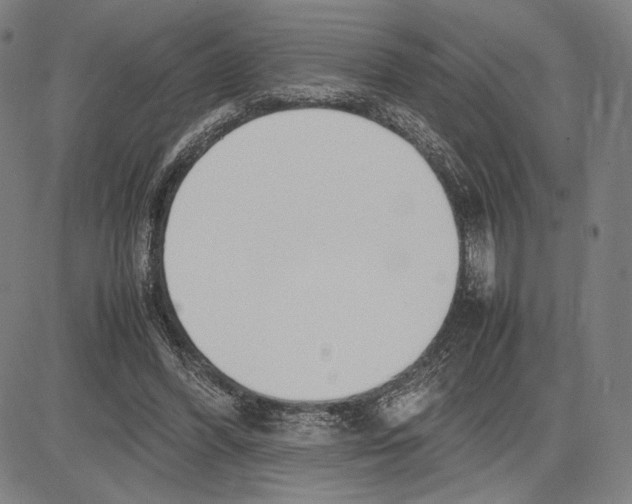 X0000081630396200702121710