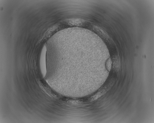 X0000081630408200702121710
