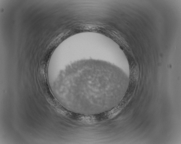 X0000081630415200702121710