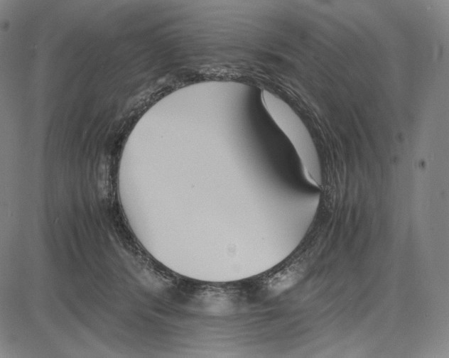 X0000081630416200702121710