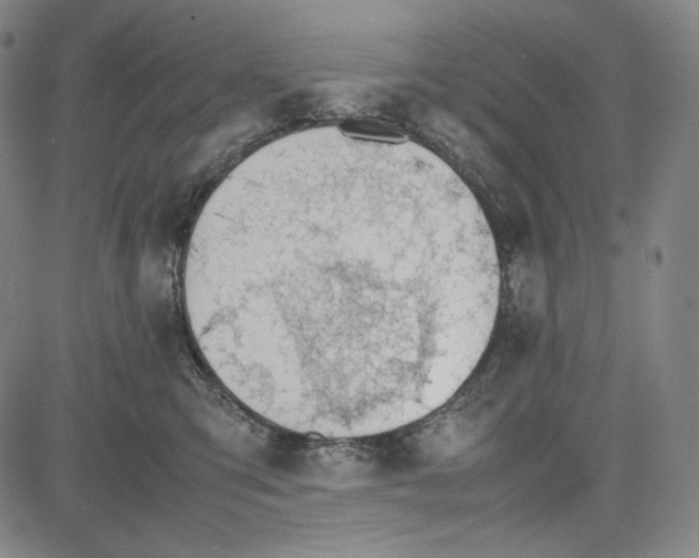 X0000081630423200702121709