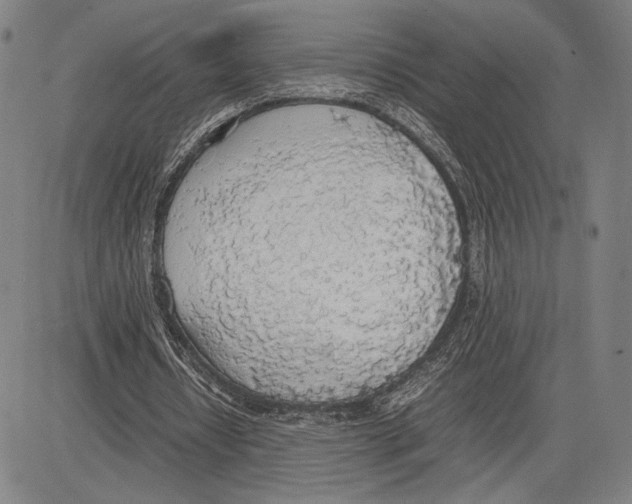 X0000081630434200702121709