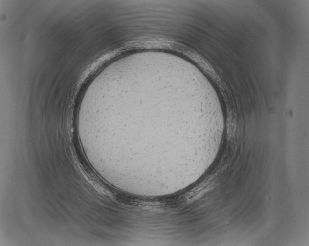 X0000081630438200702121709