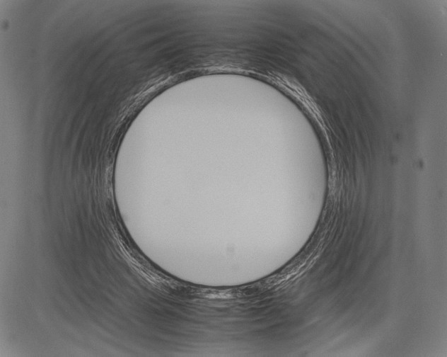 X0000081630441200702121709