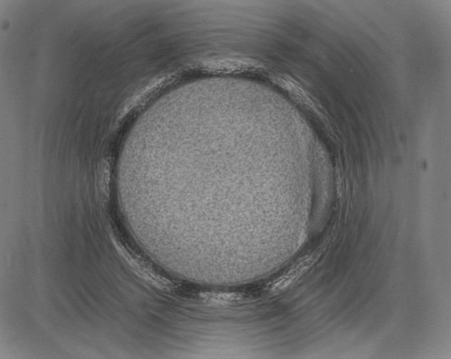 X0000081630448200702121709