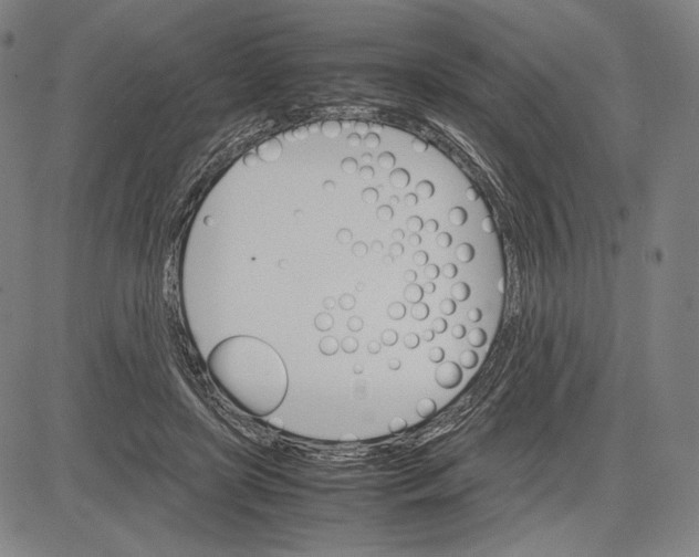 X0000081630451200702121709