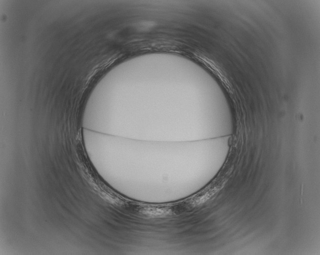 X0000081630453200702121709