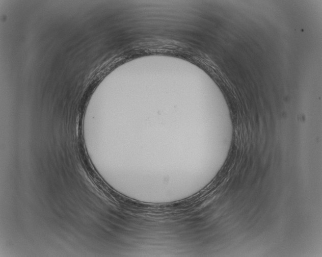 X0000081630454200702121709