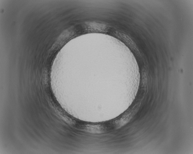X0000081630457200702121709