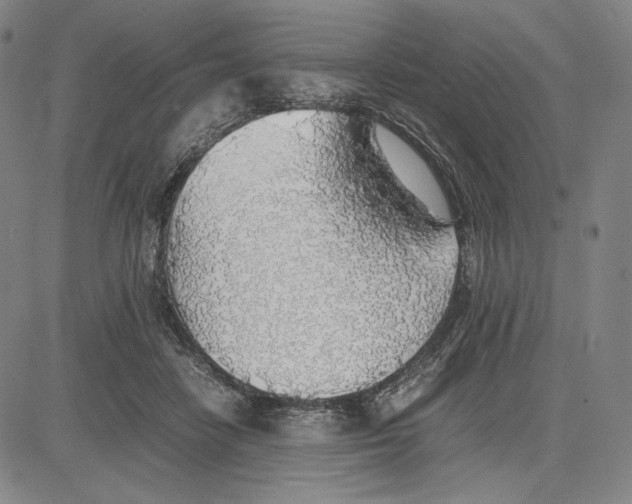 X0000081630458200702121709